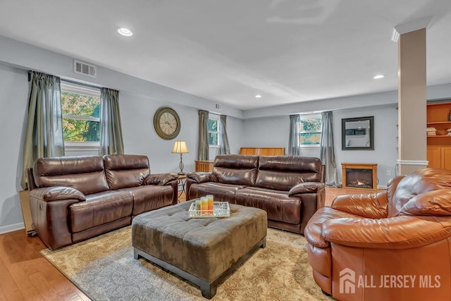 living room featuring plenty of natural light and light wood-type flooring