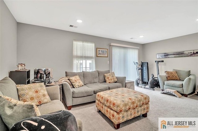 1501 Hights Farm Rd Unit 1501, Monroe, NJ 08831 - living area with carpet flooring and recessed lighting