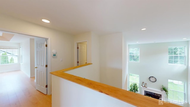 53 Kirschman Dr, Old Bridge, NJ 07747 - photo 32
