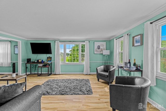 living room with crown molding and wood-type flooring