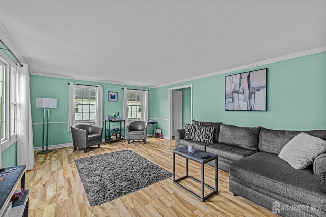 living room with hardwood / wood-style floors and ornamental molding