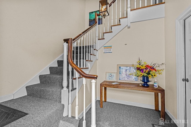 stairs featuring carpet flooring