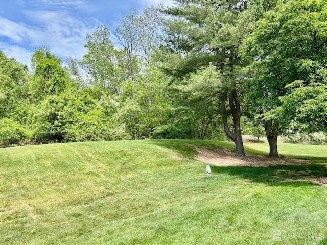 4424 Sayre Dr, Plainsboro, NJ 08540 - view of grassy yard