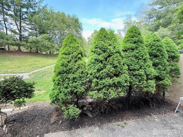 4424 Sayre Dr, Plainsboro, NJ 08540 - view of grassy yard