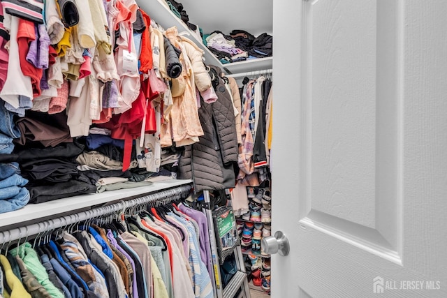 358 Rector St Unit 218, Perth Amboy, NJ 08861 - view of walk in closet