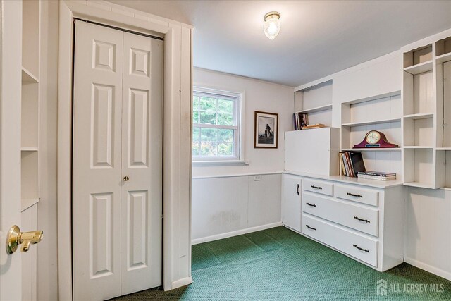 200 Elwood St, Piscataway, NJ 08854 - walk in closet with dark colored carpet