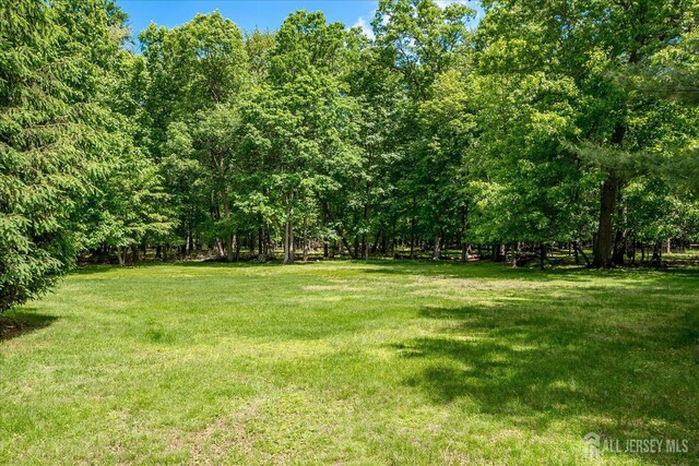 200 Elwood St, Piscataway, NJ 08854 - view of green lawn
