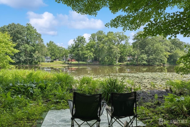 2 Derby Ln, East Brunswick, NJ 08816 - view of patio / terrace featuring a water view