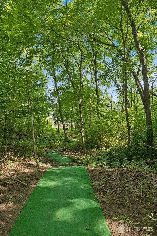 2 Derby Ln, East Brunswick, NJ 08816 - view of community with a putting green