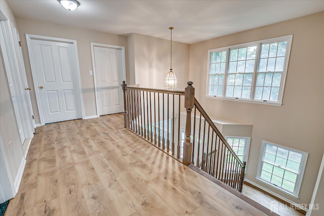 36 Benjamin Rush Ln, Princeton, NJ 08540 - photo 29