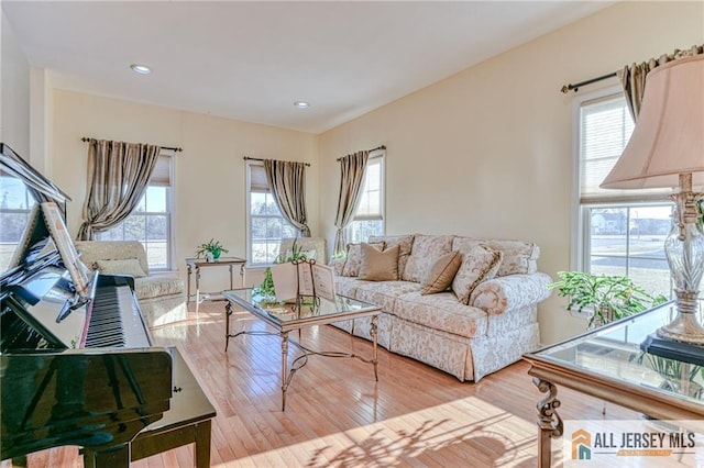 2 Kristen Ct, Franklin, NJ 08873 - living area with wood finished floors and recessed lighting