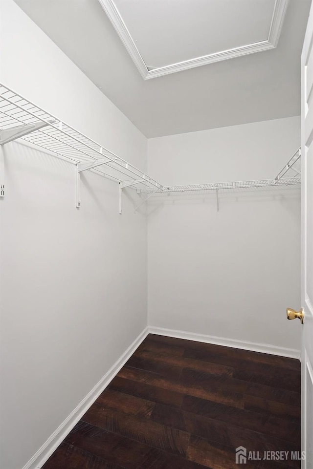 16 Ashley Ct, Franklin, NJ 08873 - photo 17