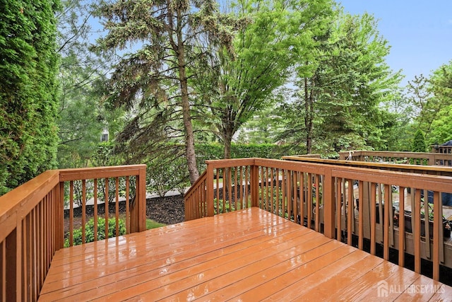 16 Ashley Ct, Franklin, NJ 08873 - photo 28
