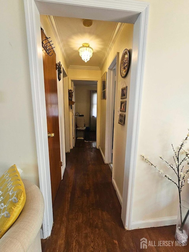 439 Fairview Ave, Colonia, NJ 07067 - photo 10