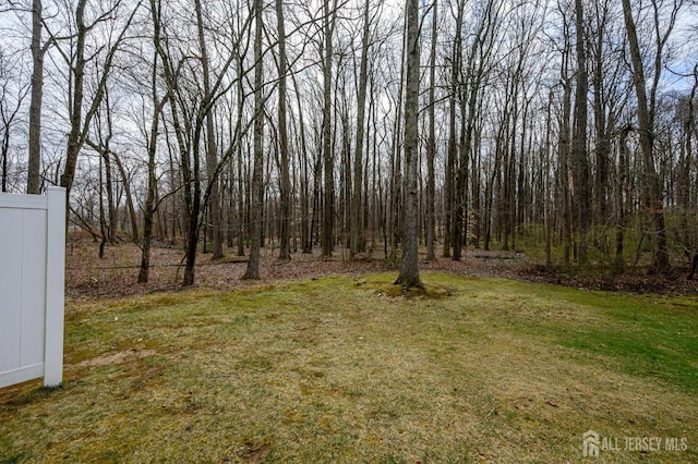 view of yard