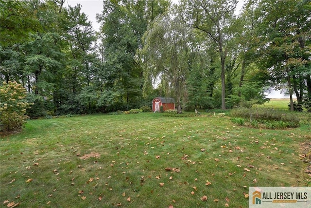 view of yard featuring a storage shed