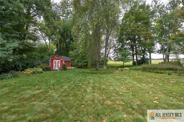 view of yard with a shed