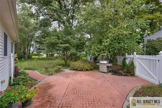 view of patio / terrace with area for grilling