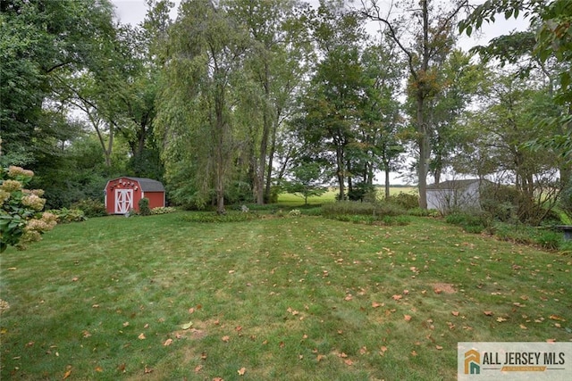 view of yard with a shed