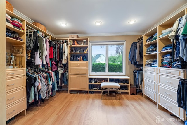 28 Sugarbush Rd, Howell, NJ 07731 - spacious closet featuring light wood finished floors