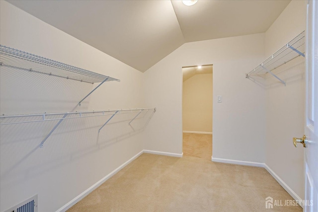12 Carriage Dr, Piscataway, NJ 08854 - spacious closet featuring light carpet and lofted ceiling