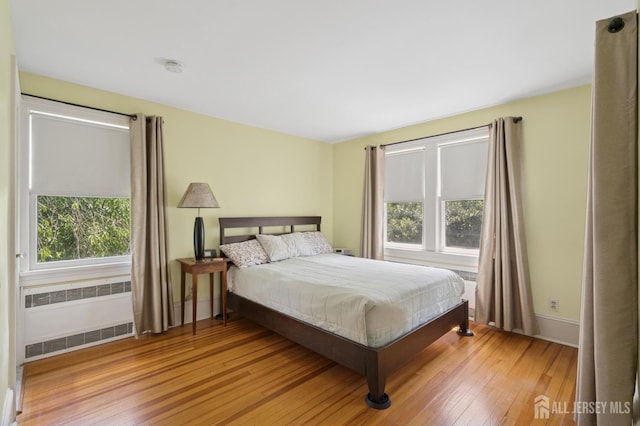 84 N Main St N, Cranbury, NJ 08512 - bedroom with multiple windows, radiator heating unit, and light wood-type flooring