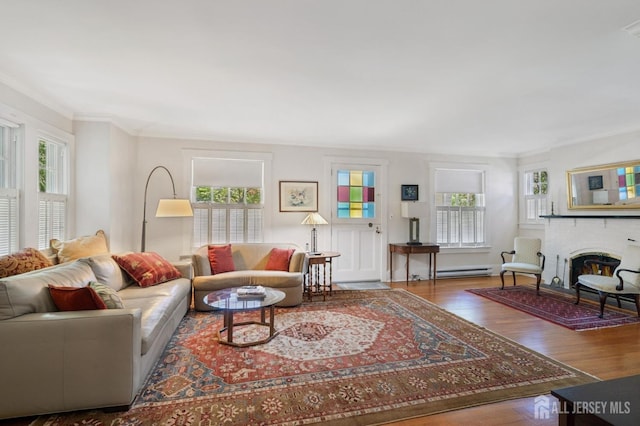 84 N Main St N, Cranbury, NJ 08512 - living room with baseboard heating, plenty of natural light, wood finished floors, crown molding, and a fireplace