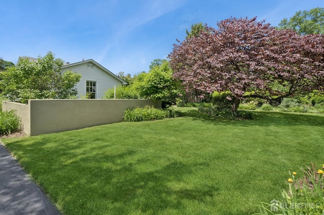 84 N Main St N, Cranbury, NJ 08512 - view of yard