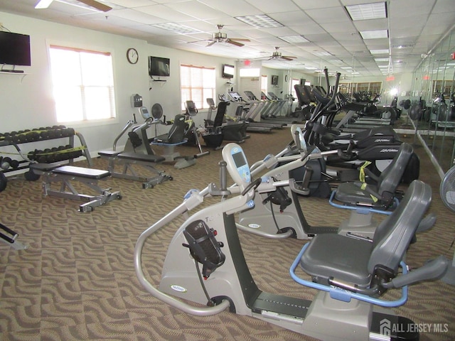 exercise room with carpet floors, a paneled ceiling, and ceiling fan