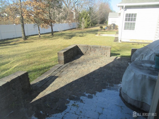 view of yard featuring a patio area