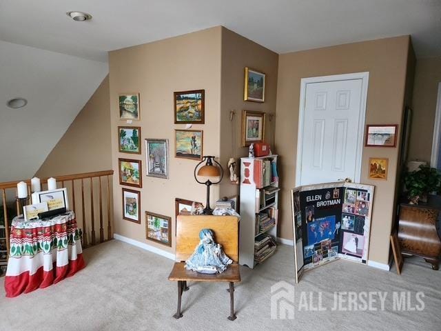 interior space with carpet flooring