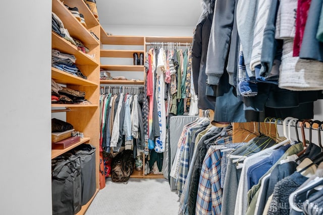 spacious closet featuring carpet floors