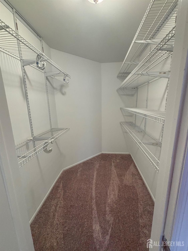 spacious closet with carpet flooring