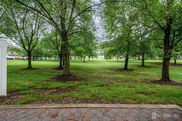 1505 Doolittle Dr, Bridgewater, NJ 08807 - photo 26