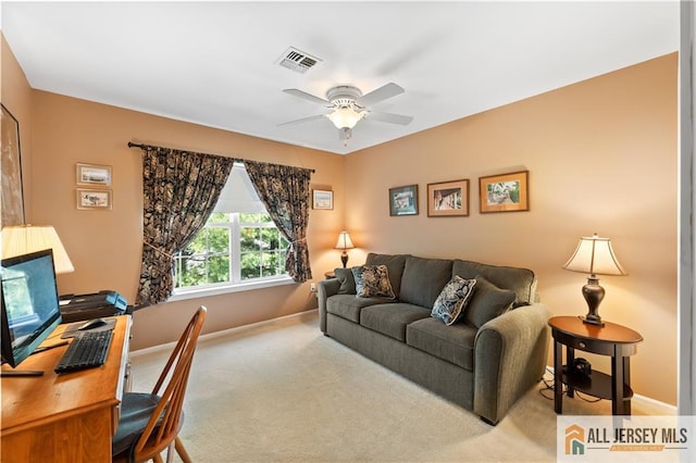 28 Garfield Way, Montgomery, NJ 08540 - photo 35