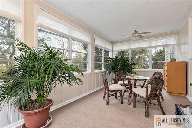 sunroom featuring carpet