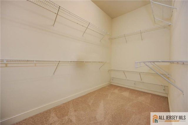 walk in closet featuring carpet floors