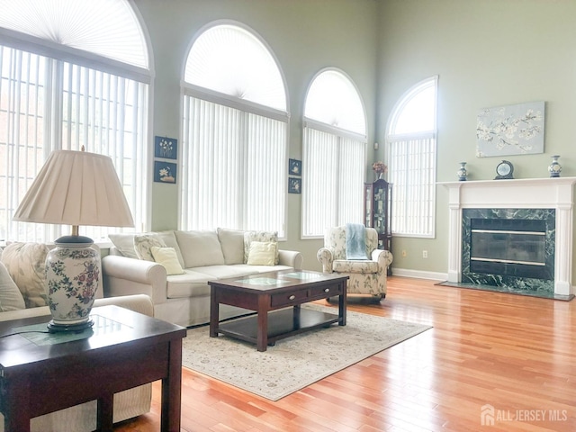 living room featuring plenty of natural light, wood finished floors, a premium fireplace, and baseboards