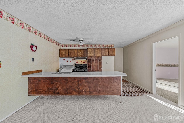 kitchen featuring kitchen peninsula, sink, light carpet, and stove