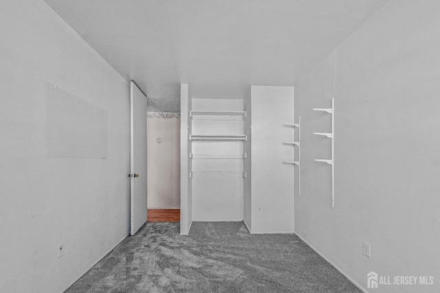 spacious closet with carpet floors