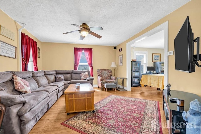 186 Brahma Ave, Bridgewater, NJ 08807 - living area with light wood finished floors, a ceiling fan, and a textured ceiling