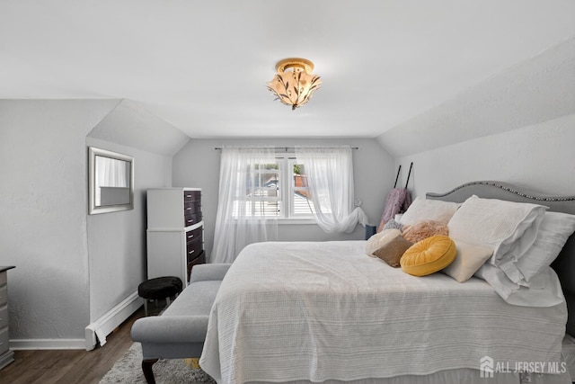 858 Burnt Tavern Rd, Brick, NJ 08724 - bedroom featuring a baseboard radiator, lofted ceiling, dark wood-type flooring, and multiple windows