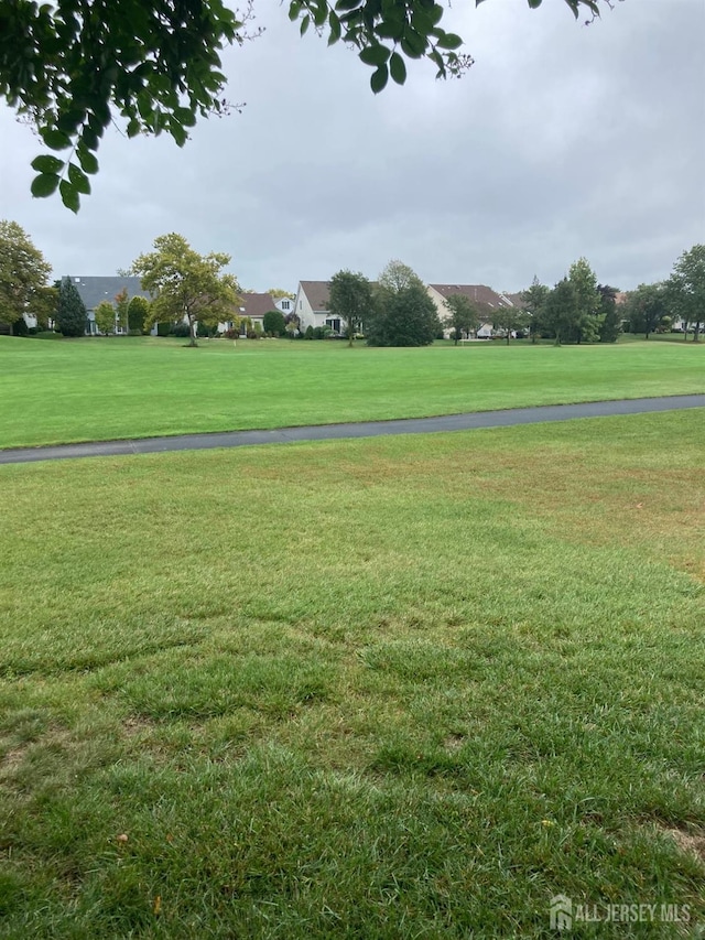 46 Chichester Rd, Monroe, NJ 08831 - view of home's community featuring a lawn