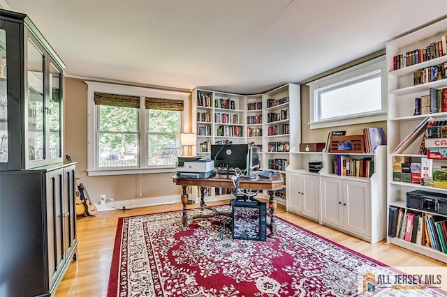 135 N 5th Ave, Highland Park, NJ 08904 - photo 14