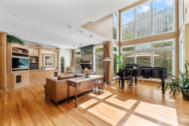 10 Jason Dr, East Brunswick, NJ 08816 - photo 13