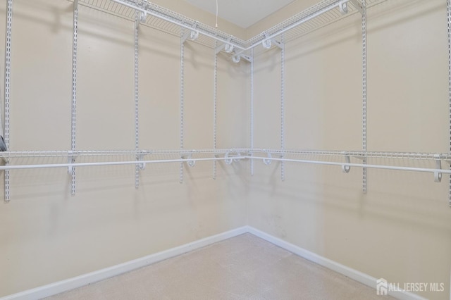 view of spacious closet