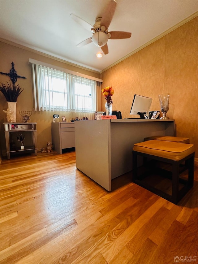 office space featuring crown molding, ceiling fan, and light wood-type flooring