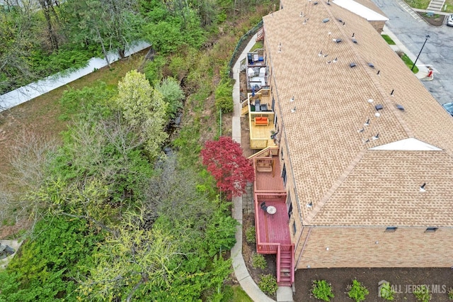 bird's eye view