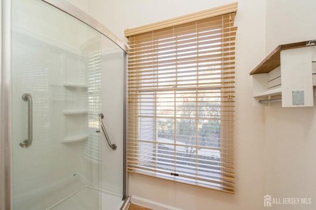 bathroom featuring plenty of natural light and a stall shower