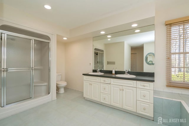 bathroom with a shower stall, plenty of natural light, and a sink